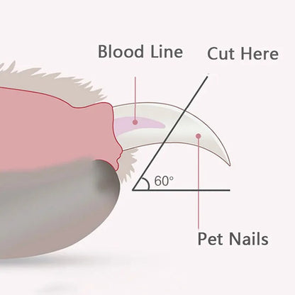 TrendySwiss Präzisions-Nagelknipser für Hunde 